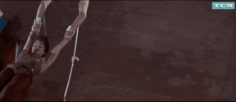 Burt Lancaster Trapeze GIF by Turner Classic Movies