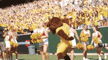 Baylor Bears Bu GIF by Baylor Athletics