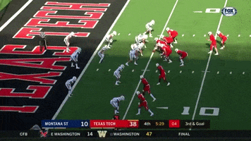 Texas Tech GIF