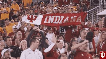 Football Fan GIF by Indiana Hoosiers