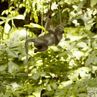 Mood Chilling GIF by BBC America