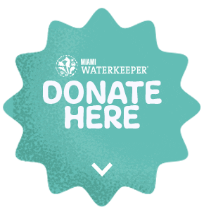 Summer I Donated Sticker by Miami Waterkeeper