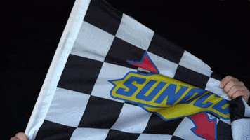 Winning Waving The Flag GIF by NASCAR