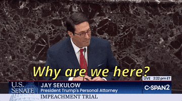 news senate impeachment trial impeachment trial why are we here jay sekulow GIF