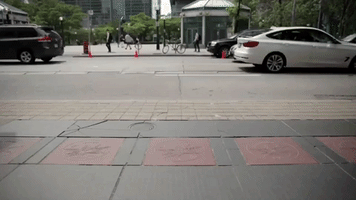 geoffiroth  GIF