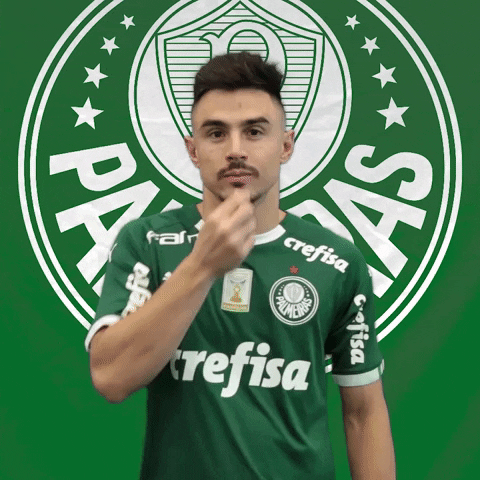 Palmeiras soccer style futebol mustache GIF
