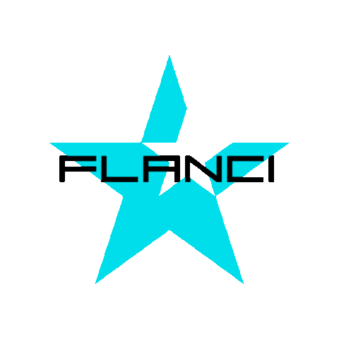 Flancilogo Sticker by FLANCI Activewear