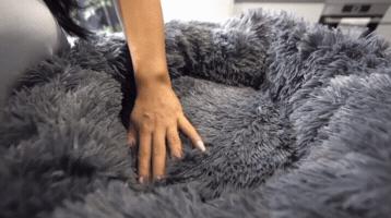 Calmingpetbed GIF