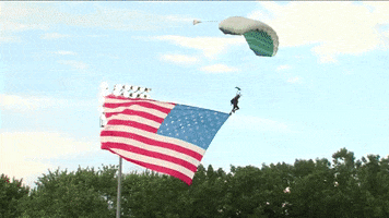 American Flag America GIF by Kane County Cougars