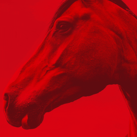 Die roten Reiter GIF