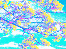 Loop GIF