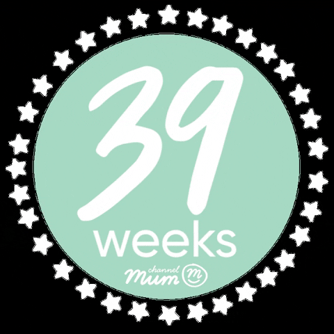 39-weeks-pregnant GIFs - Get the best GIF on GIPHY