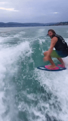 ceccotorenas boarding family GIF