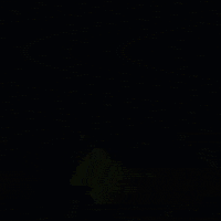 Slow Motion Wow GIF by JustViral.Net