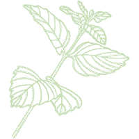 Weingut Türk - JUZZZ Sticker