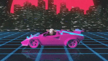 Driving Speed Racer GIF by Best Friends Animal Society