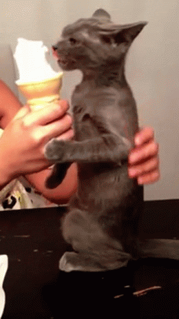Ice Cream Brain Freeze GIF - Find & Share on GIPHY