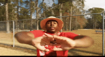 One Piece GIF
