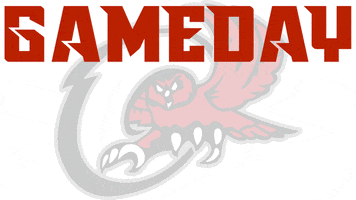 Gameday GIF by Ooltewah Owls