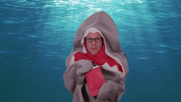Excited Discovery GIF by Shark Week