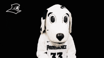 Dog Cheer GIF by Providence Friars