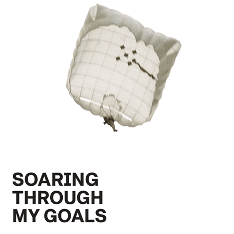 Us Army Goals GIF by GoArmy