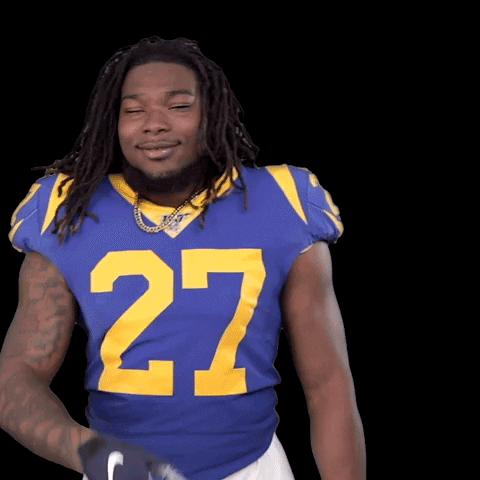 Los Angeles Rams No GIF by NFL