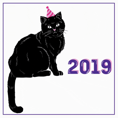 Cat Party GIF by Coding Rights