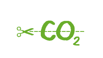 Idyll Environmental Economics Sticker