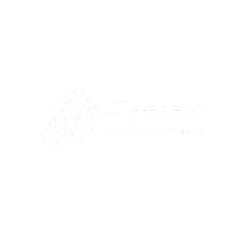 ESTIEM LG Piraeus Sticker