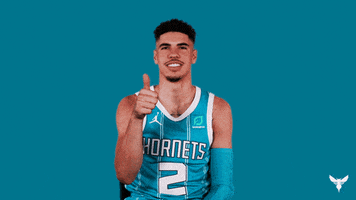 No Way Sport GIF by Charlotte Hornets