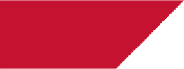 Bayleys Realty Group GIF