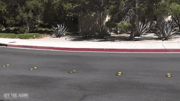 Classic Car Chevrolet GIF by Off The Jacks