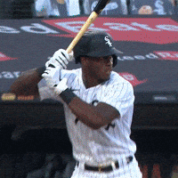 Baseball-lover GIFs - Get the best GIF on GIPHY