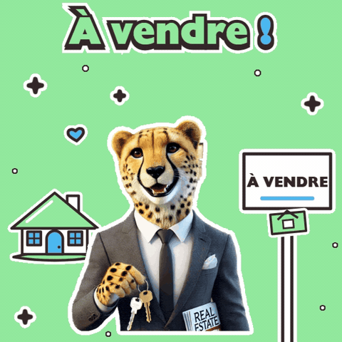 Real Estate Business GIF by solydari