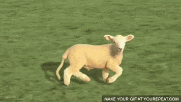 sheep factory GIF