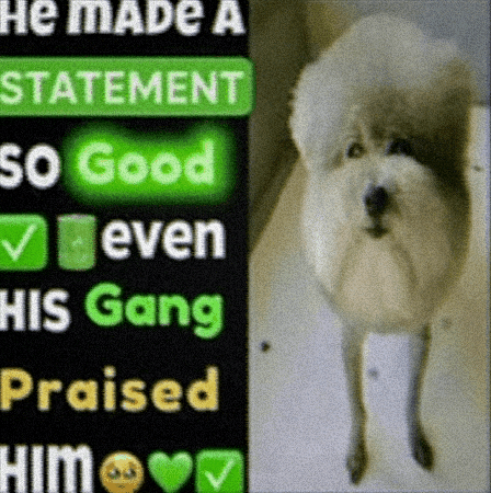 He Made A Statement GIF