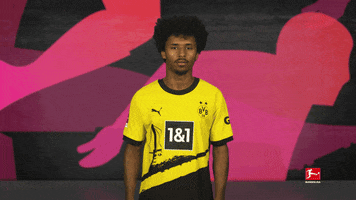Borussia Dortmund Celebration GIF by Bundesliga