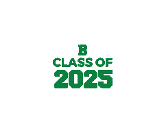 Sabres2025 Sticker by St. Brendan High School