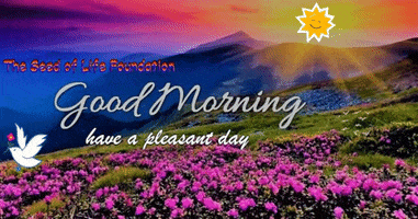 Grow Good Morning GIF by The Seed of Life Foundation
