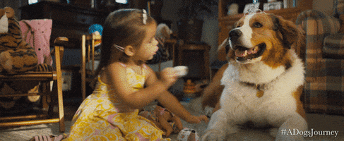 tea party dogs GIF by A Dog's Journey