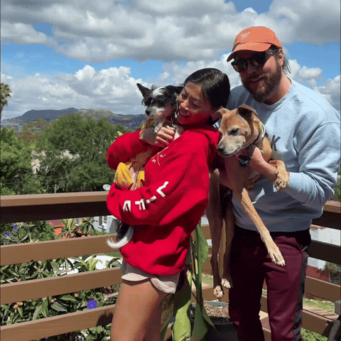 Dogs GIF