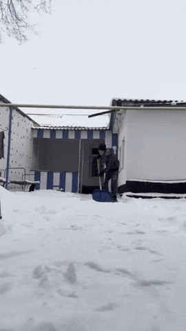 Supersila4 GIF