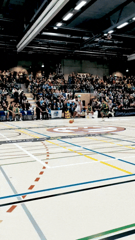 March Madness Basketball GIF by TSV temps Shooters