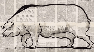 Eadweard Muybridge Animation GIF by Vinícius Cruz