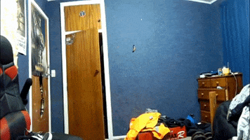 Foster Gay GIF