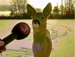Itsburger010 GIF
