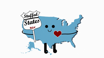 Usa America GIF