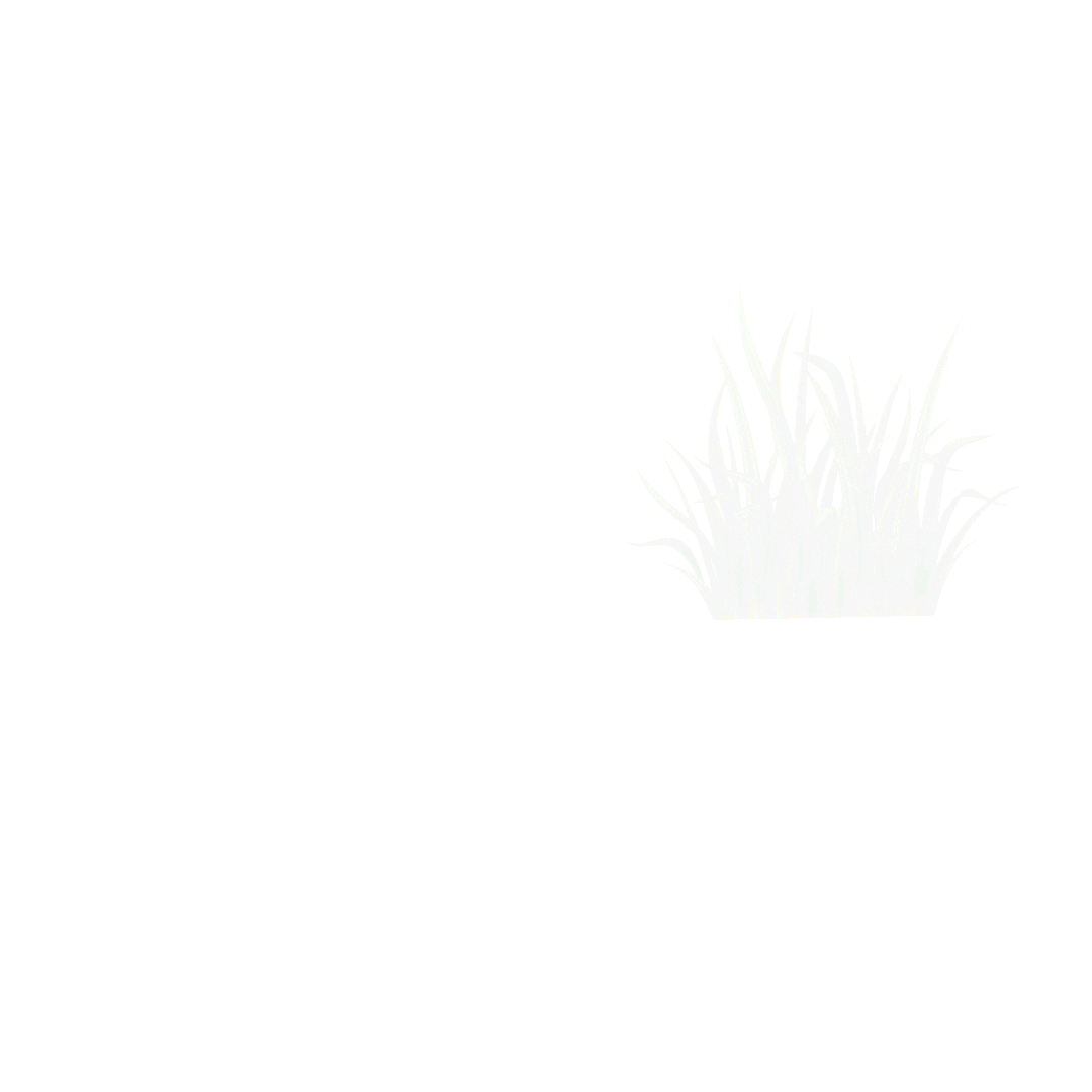 Riza Sementes Sticker