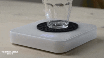 Coffee Scale GIF by The Barista League